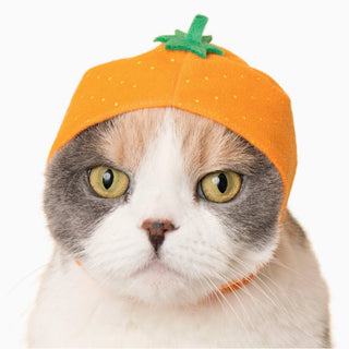 Kitan Club Cat Cap/Hat Blind Box - Fruit