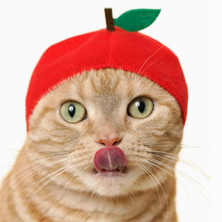 Kitan Club Cat Cap/Hat Blind Box - Fruit