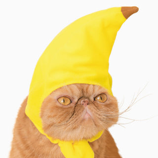 Kitan Club Cat Cap/Hat Blind Box - Fruit